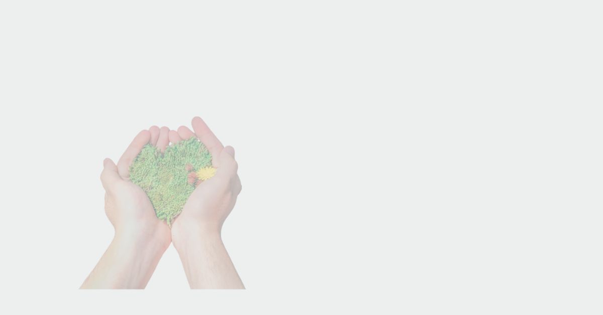 a pair of cupped hands holding foliage in the shape of a heart