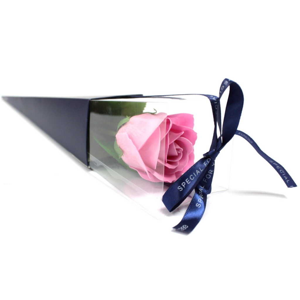 Single Pink Rose