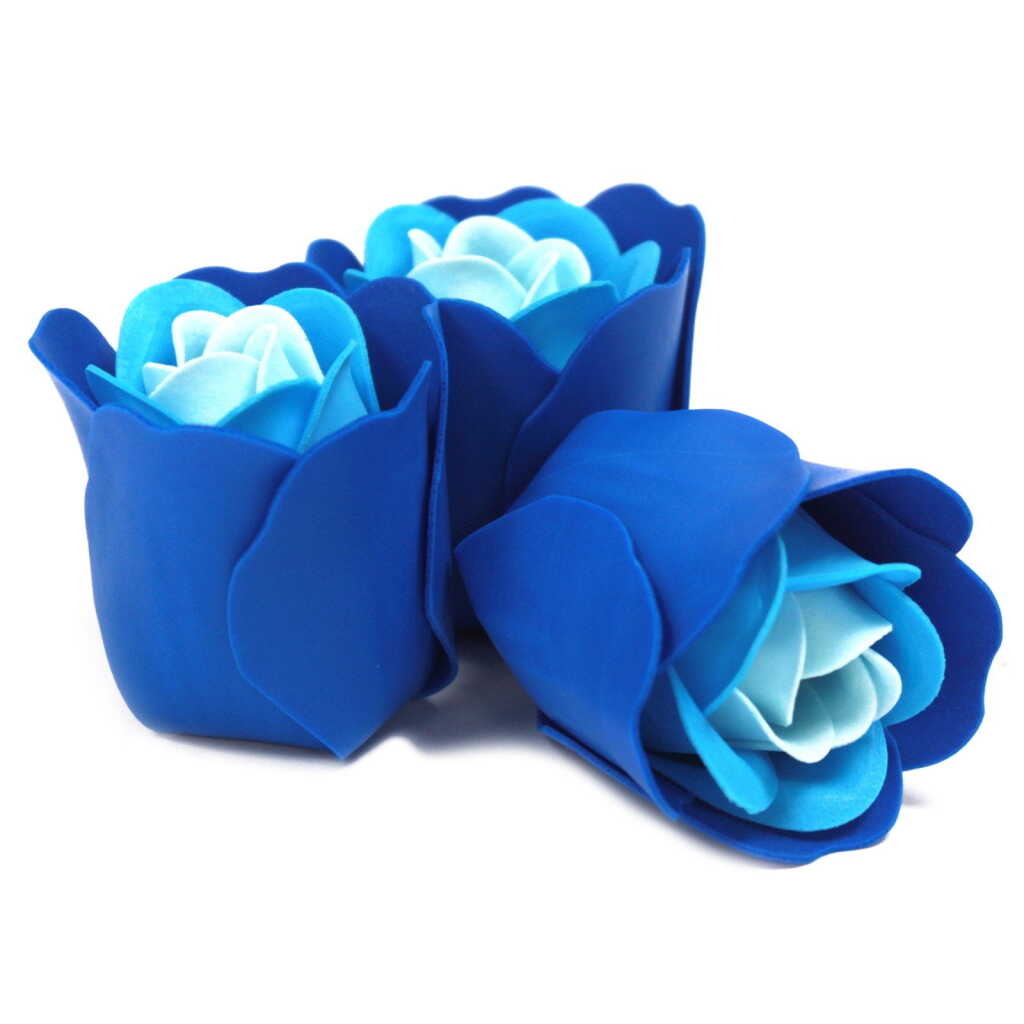 3 rose heart-shaped box - blue wedding