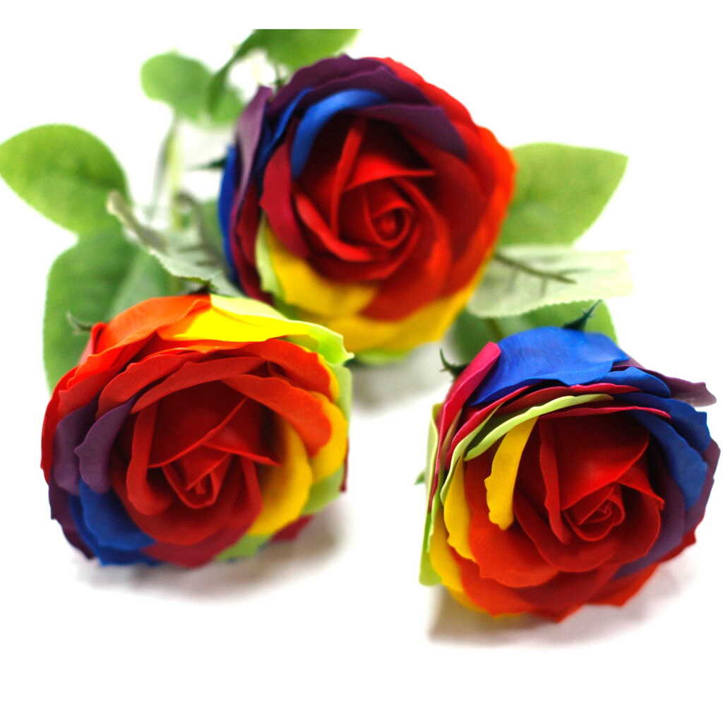 Soap Flower - Rainbow