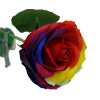 Luxury Soap Flower - Rainbow Rose