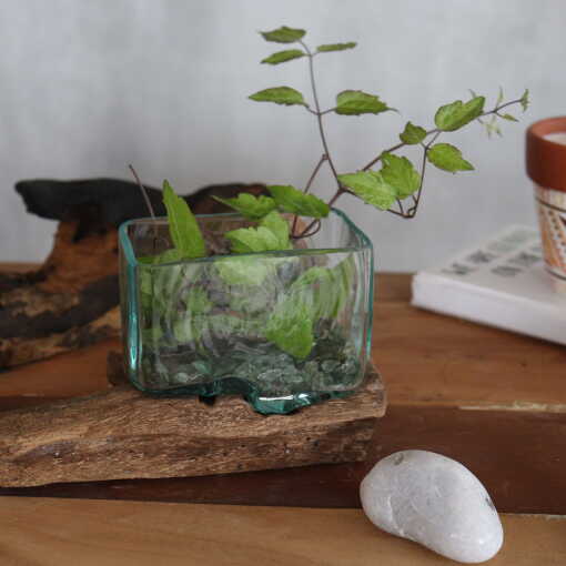 Molten Glass on Wood - Small Glass Tank - Image 6