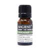 Organic Essential Oil - Lavender - 10ml