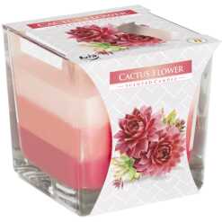 Rainbow Jar Candle - Cactus flower