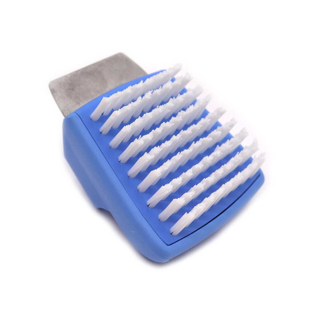 Salt Block Cleaning Brush - blue