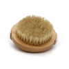 a hand held body scrub brush showing the bristles