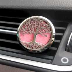 Car Diffusers