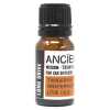 essential oil car blend with tangerine, grapefruit and lime.