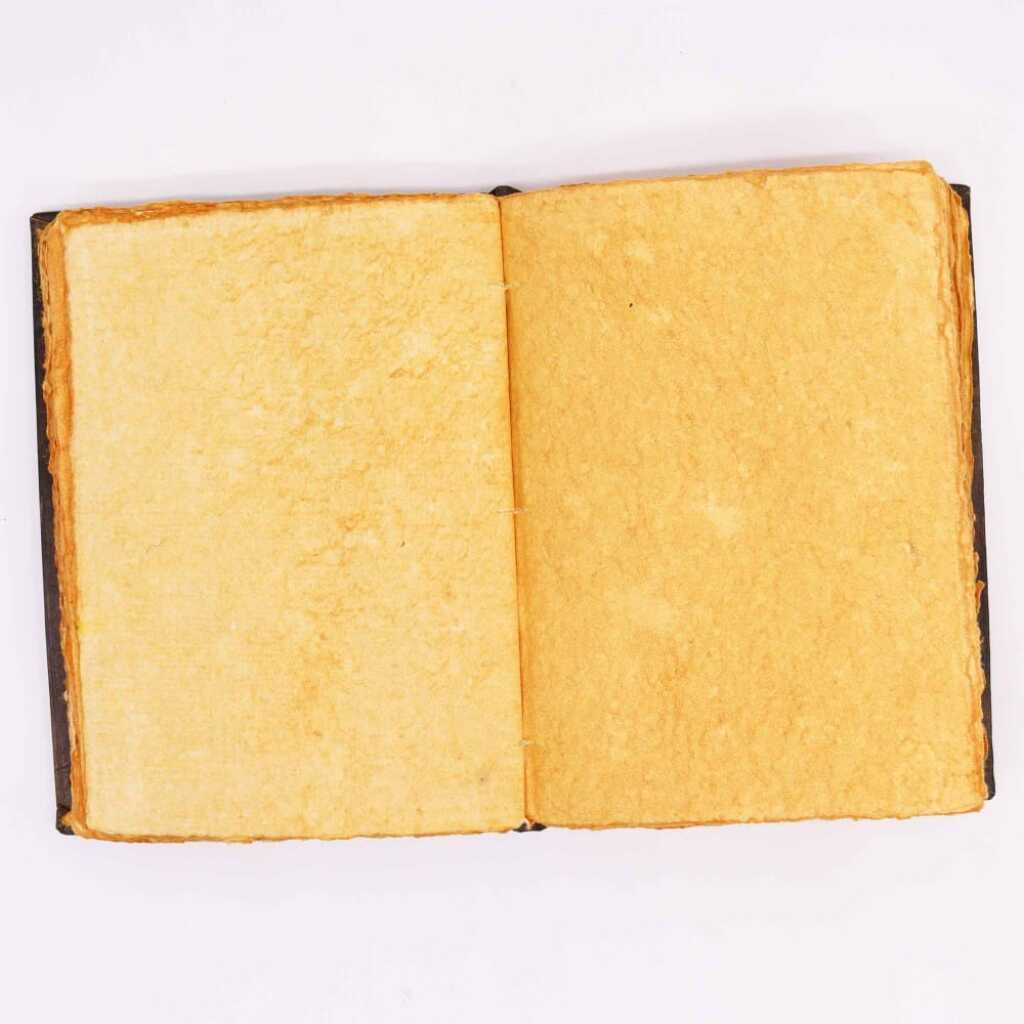 A stunning Hefty Tan Book with Rose Decor, open pages