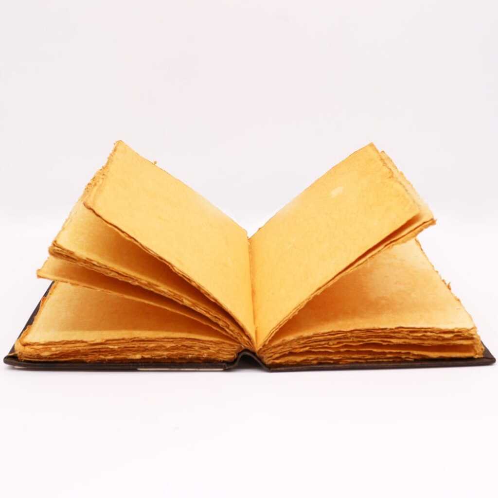 A stunning Hefty Tan Book with Rose Decor, open pages