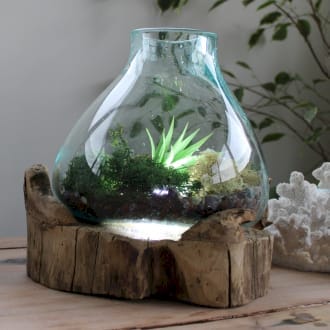 A molten glass on wood jar with plants