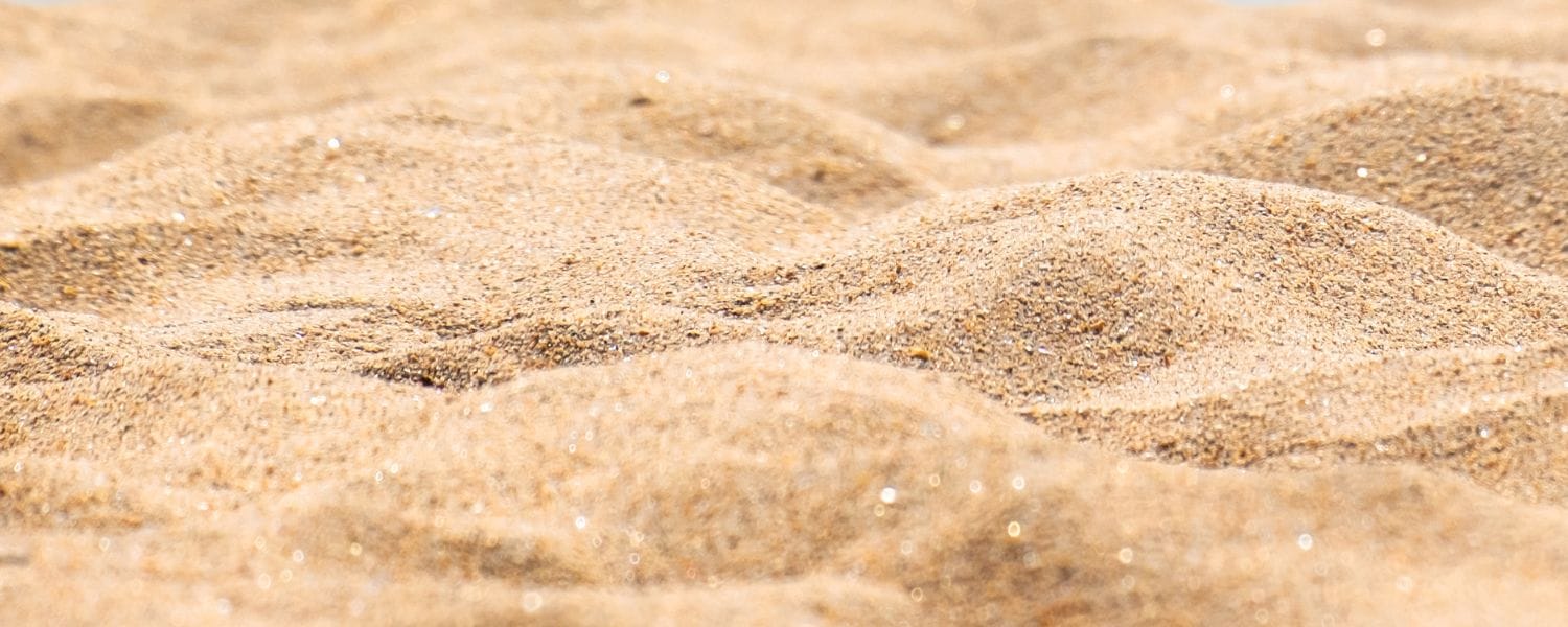a sandy background