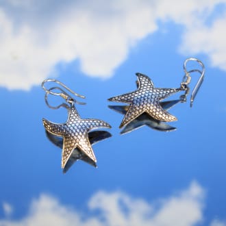 925 silver animal earrings