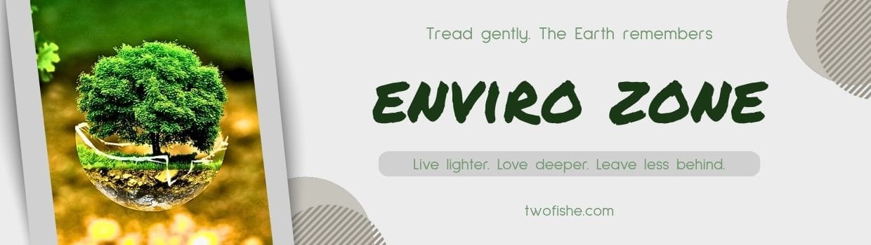 enviro zone header