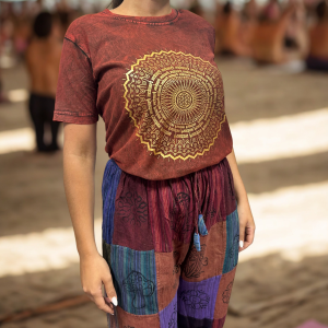 sari t-shirt in a copper colour