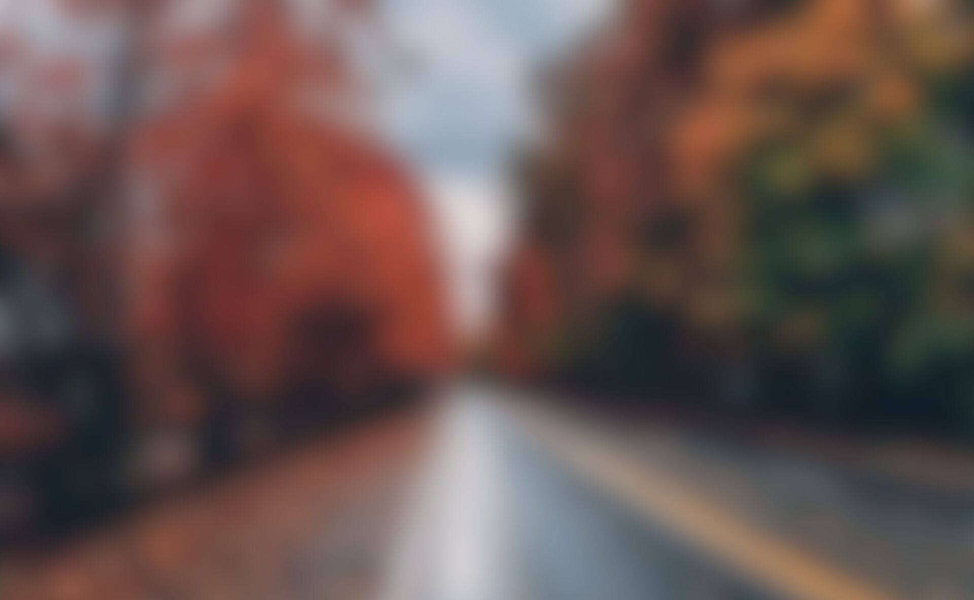 blurred autumn scene